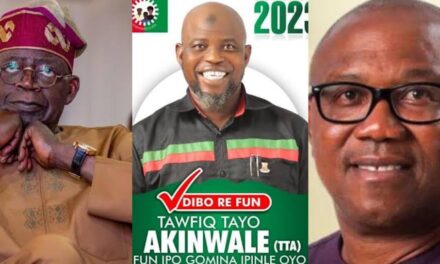 How Tinubu Funded Obi’s Campaign To Reduce Atiku’s Winning Chances  – Oyo Labour Party Governorship Candidate, Akinwale