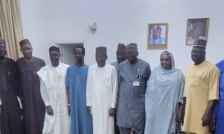 Zulum Calls for Collaboration Between UI and Borno State University