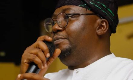 Expect Our Masterplan for the Power Sector in 2 to 4 Weeks — Adelabu, Minsiter of Power