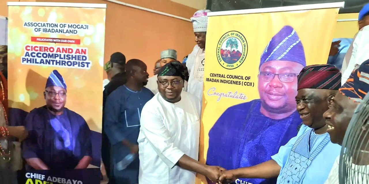 Power is Critical for any Economic Development, Make Us Proud — CCII to Adelabu