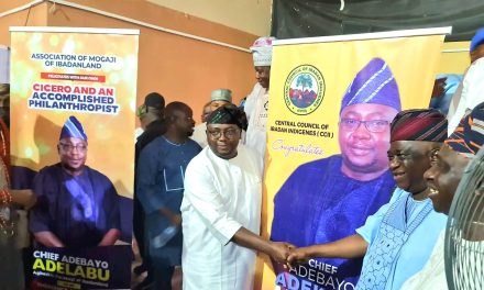 Power is Critical for any Economic Development, Make Us Proud — CCII to Adelabu